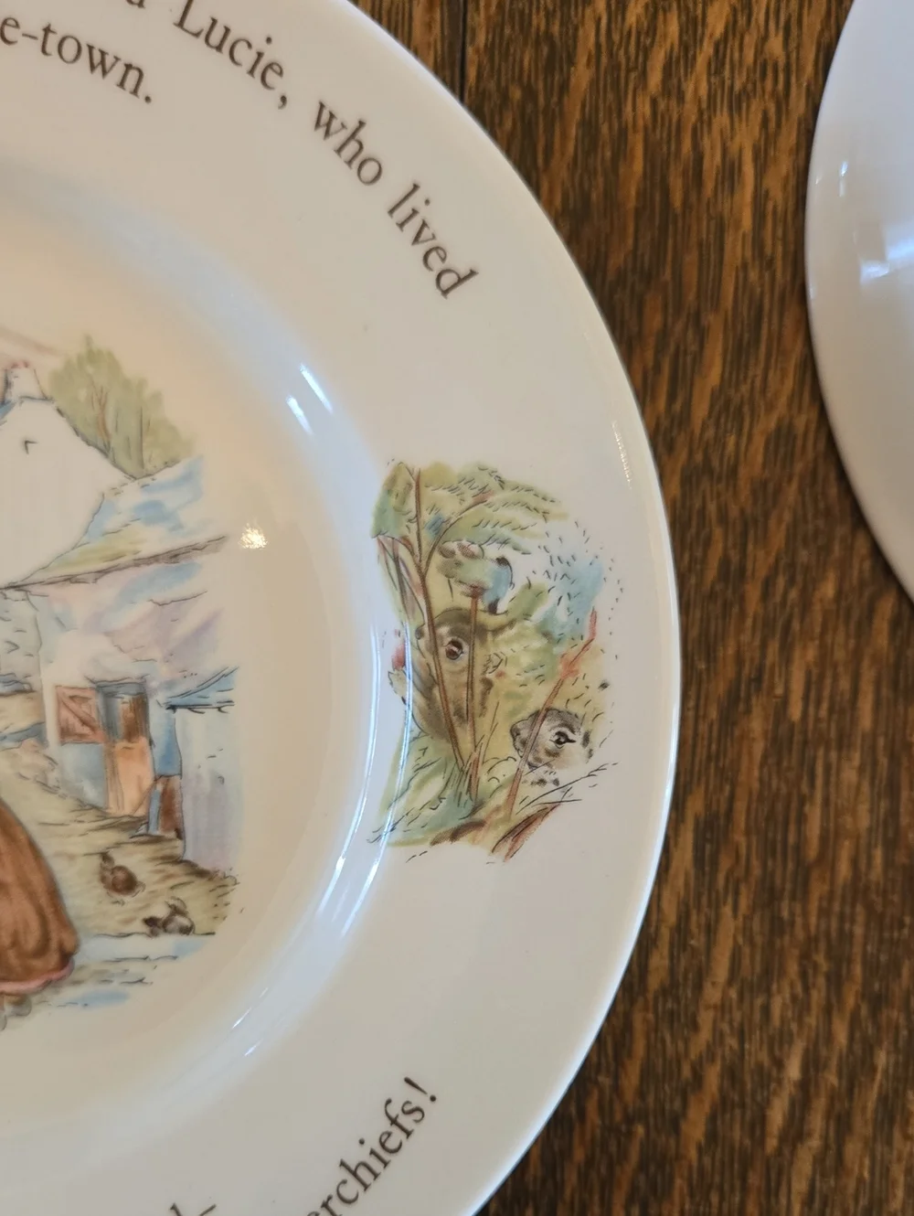 Wedgwood Mrs. Tiggy-Winkle Beatrix Potter Bowl and Plate Set